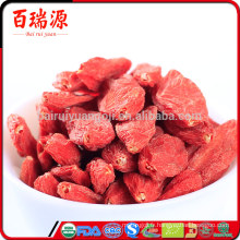 Fournisseur de prix pas cher goji baie séchée chine goji ningxia goji berry